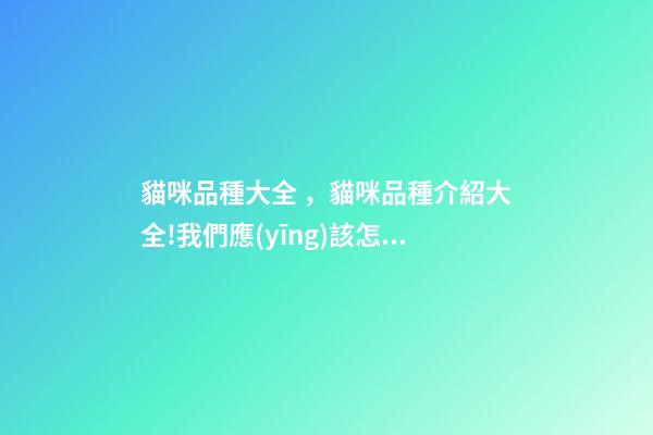 貓咪品種大全，貓咪品種介紹大全!我們應(yīng)該怎么選擇適合自己的貓咪